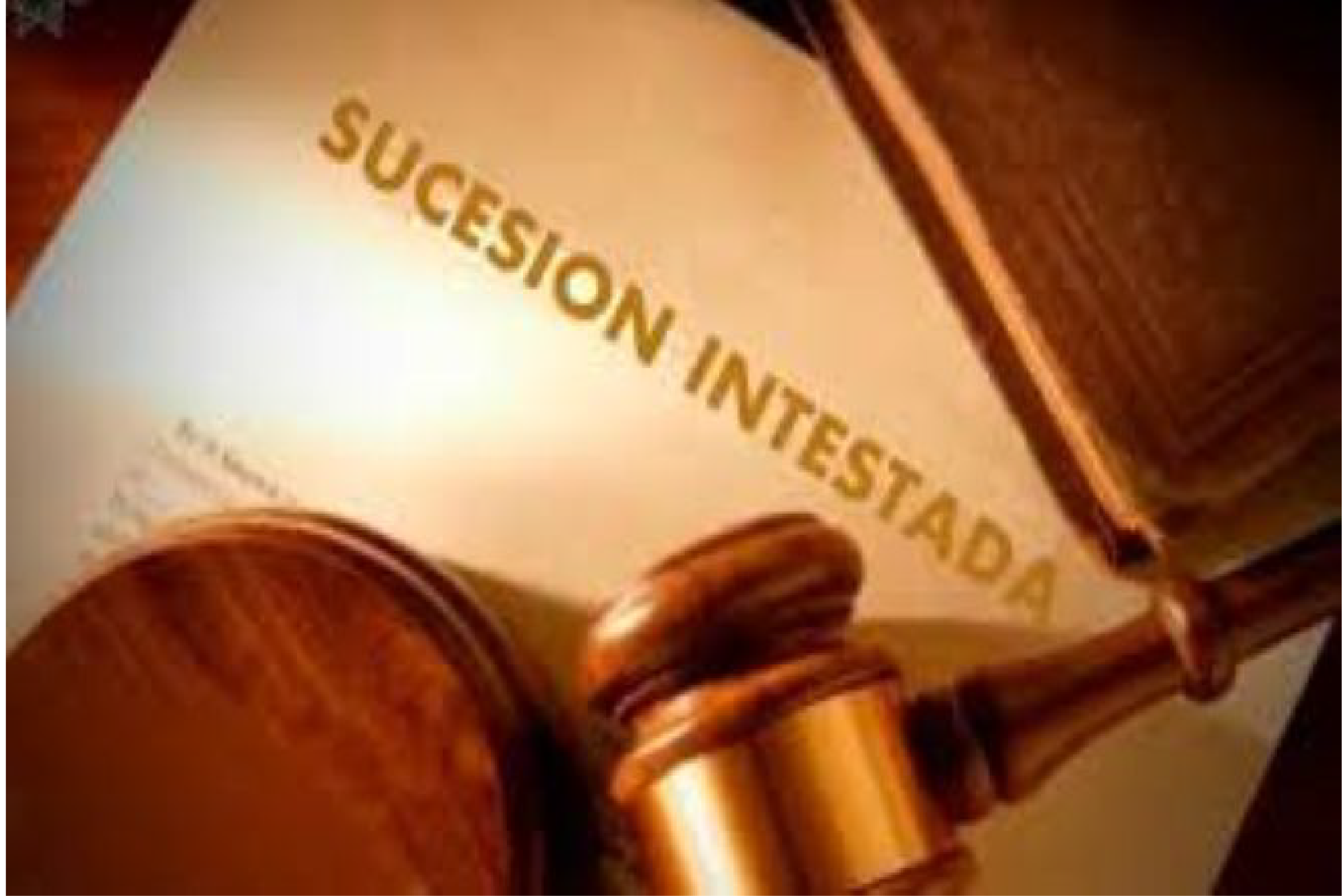 sucesion intestada